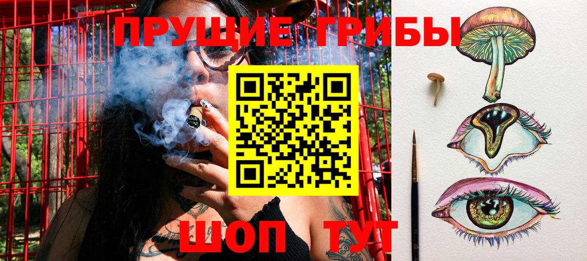 Радужный  Галлюциногенные грибы прущие грибы  Вход с VPN 